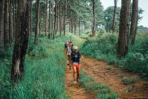 BIB: 
                            <button type="button" onclick="openModal(25656338)" class="btn btn-primary btn-sm float-right btn-popup" data-toggle="modal" data-target=".modal-high-quality">
                        <i class="fas fa-shopping-cart"></i> Add to Cart
                    </button>
                                            <button type="button" onclick="isThisMe(25656338, true)" class="btn btn-success btn-sm float-right btn-popup btn-isme hidden" data-toggle="tooltip" data-placement="bottom" title="นี่คือรูปของคุณใช่ไหม คลิกที่นี่เพื่อเอาเข้าอัลบั้ม">
                        <i class="fas fa-plus"></i> Add to album
                    </button>
                    <button type="button" onclick="isThisMe(25656338, false)" class="btn btn-warning btn-sm float-right btn-popup btn-isnotme hidden">
                        <i class="fas fa-ban"></i> Remove from album
                    </button>